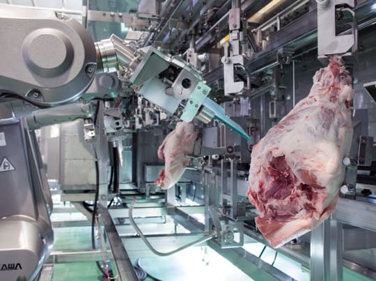 automated meat production