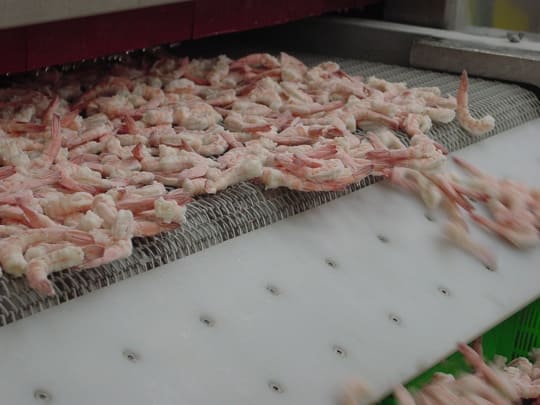 seafood-freezer technology