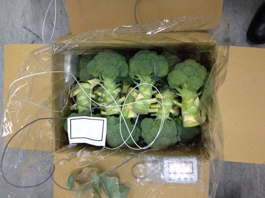 boxed fresh vegetables